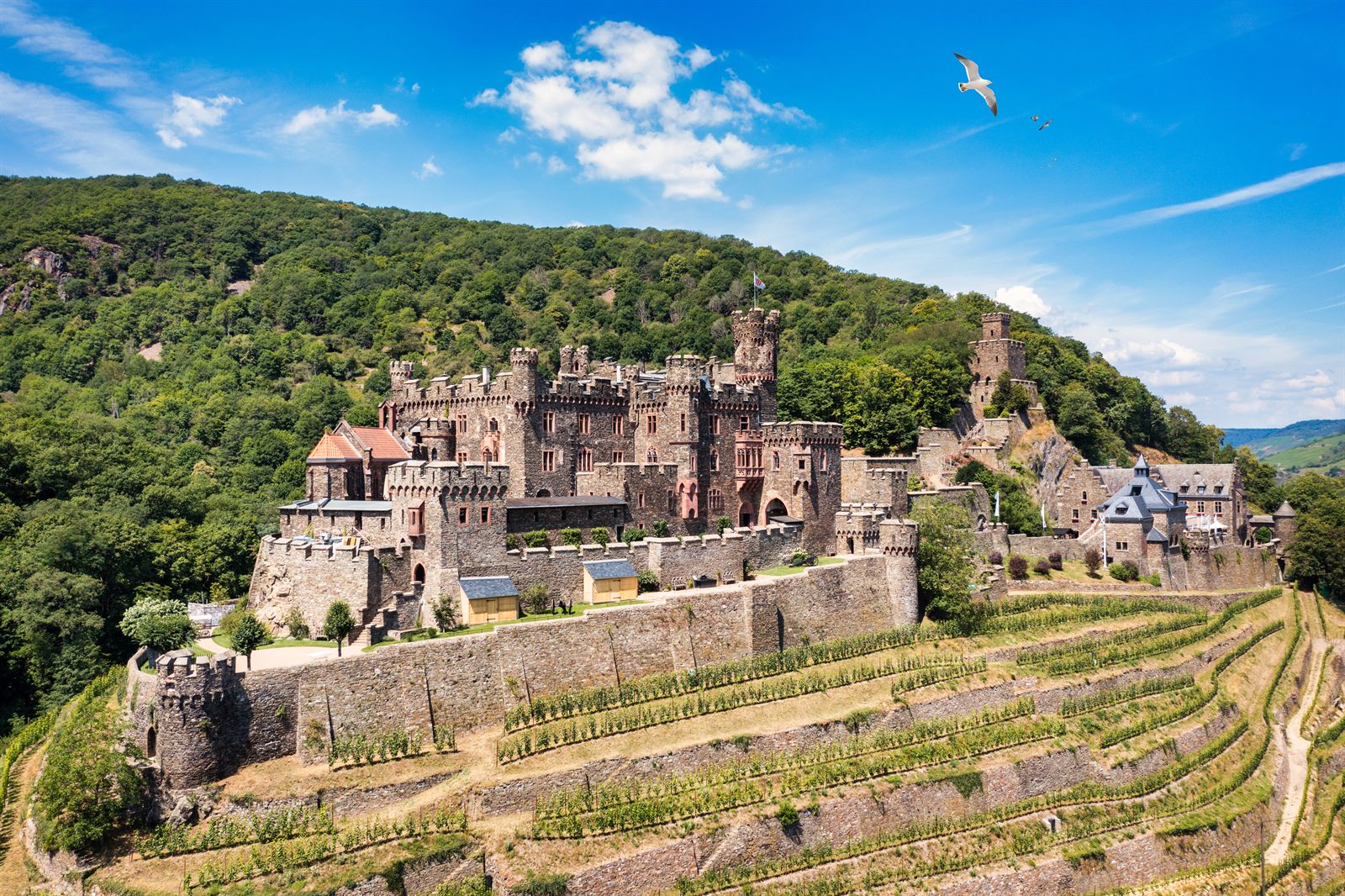 Reichenstein Castle in the Rhine Gorge