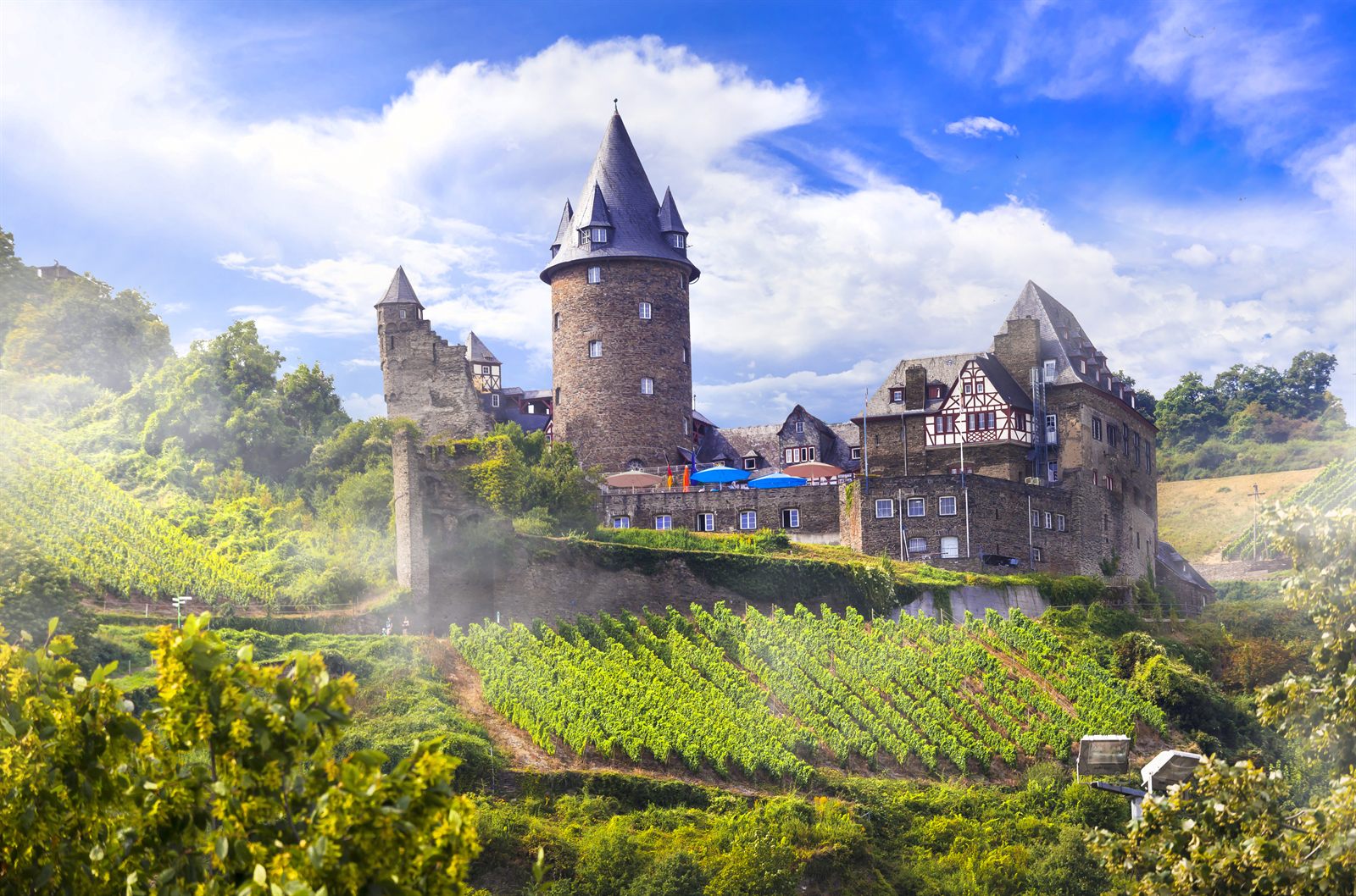 Stahleck Castle above Rhine vineyards